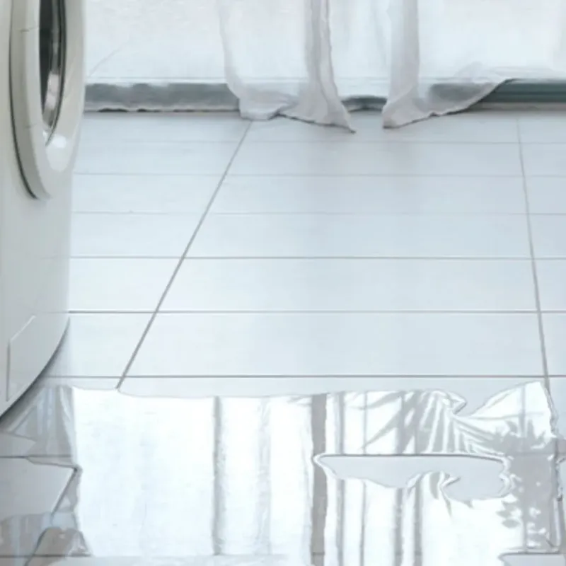 Appliance Leak Cleanup in Shelby County, IA