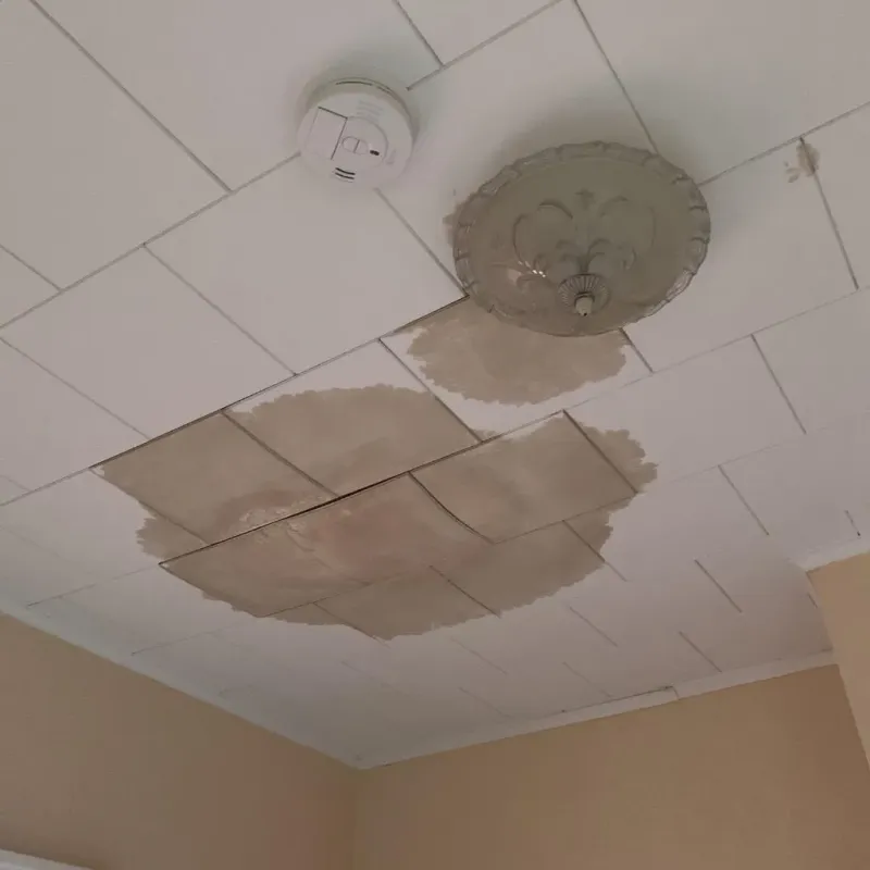 Ceiling Water Damage Repair in Shelby County, IA