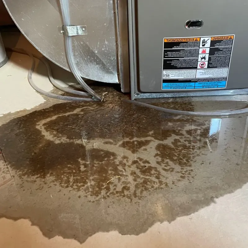 Pipe Burst and Leak Restoration in Shelby County, IA