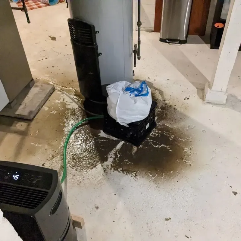 Sewage Backup Cleanup Service in Shelby County, IA